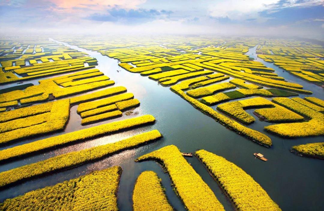 微信圖片_20200607170900.jpg 微信圖片_20200607170900.jpg